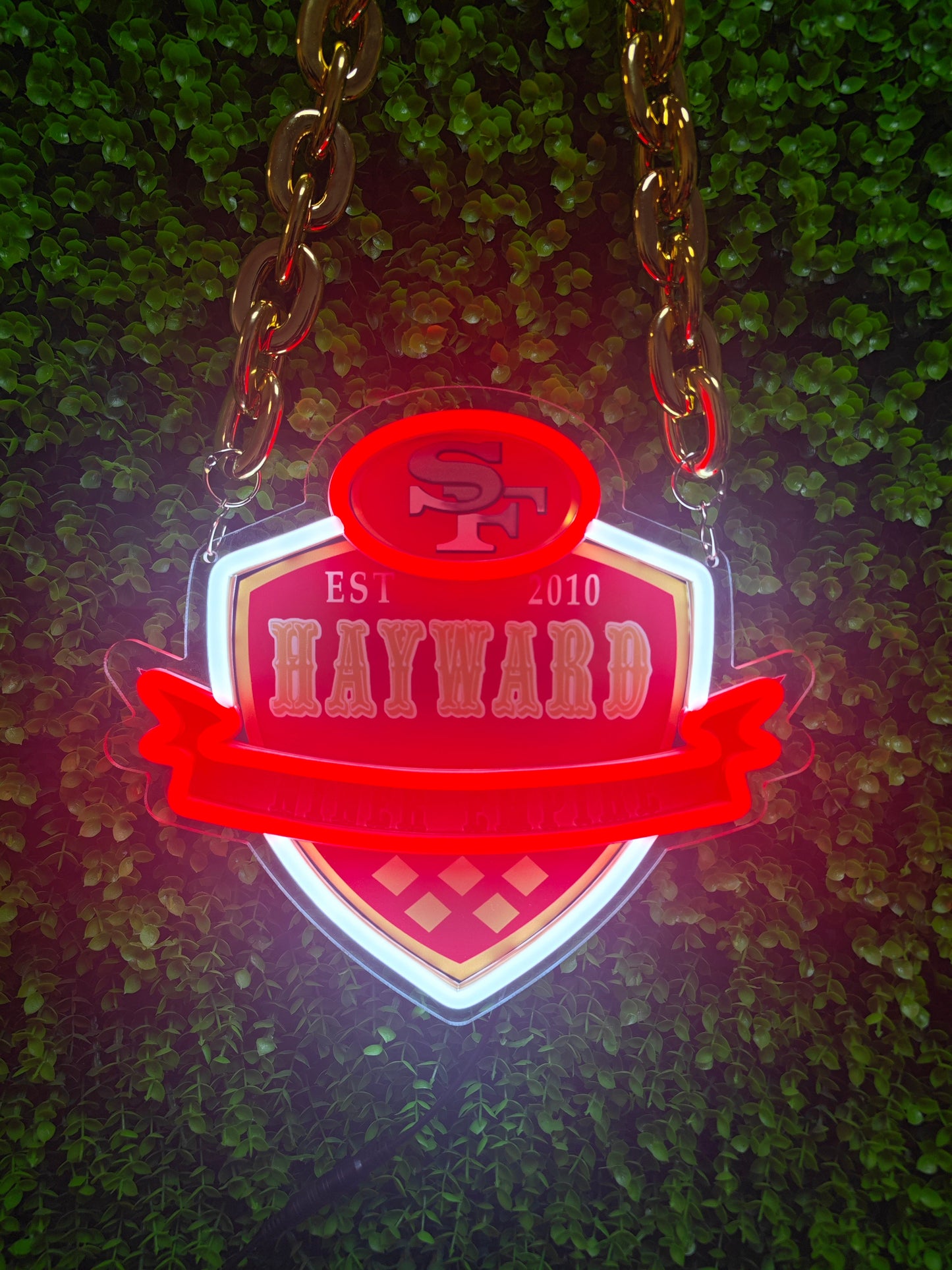 49 Niners for life show your love for football including Chains LEO NEON SIGN