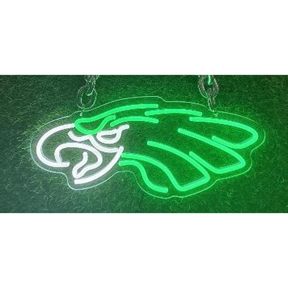Philadelphia Eagles Neon sign for Philadelphia Eagles American football super fans LEO NEON SIGN