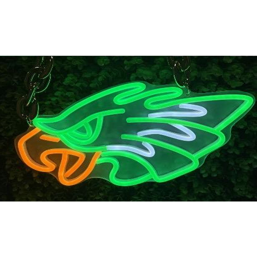 Philadelphia Eagles Neon sign for Philadelphia Eagles American football super fans LEO NEON SIGN