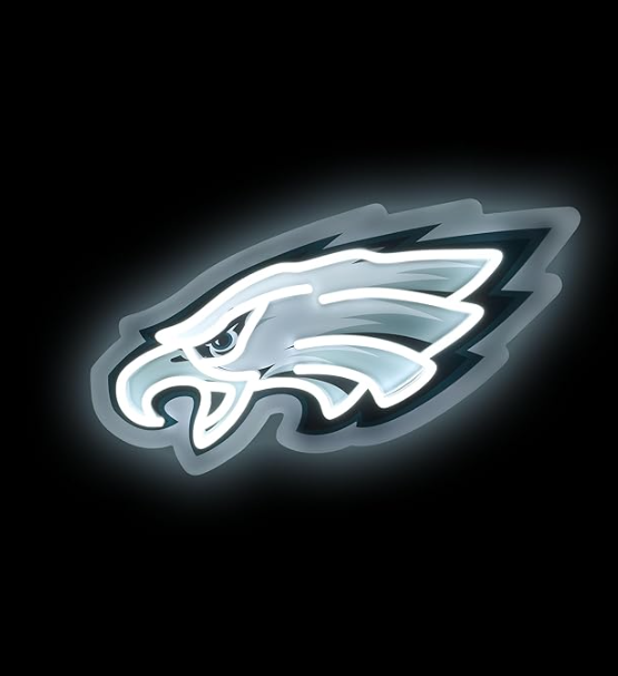 NFL Team logo led neon light up sign LEO NEON SIGN