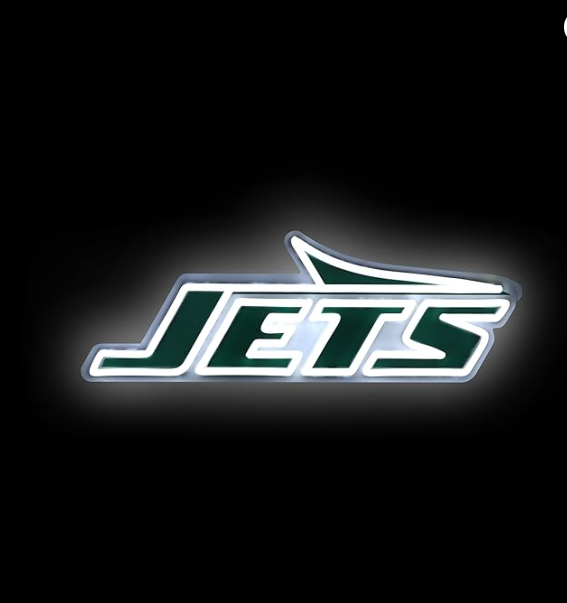 NFL Team logo led neon light up sign LEO NEON SIGN