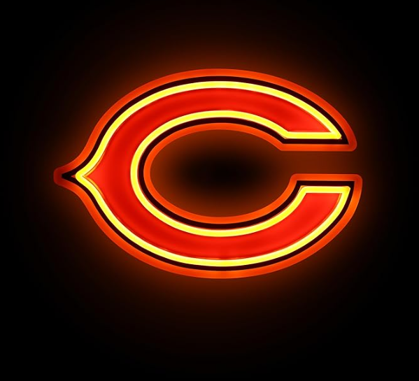 NFL Team logo led neon light up sign LEO NEON SIGN