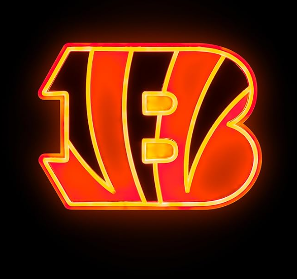 NFL Team logo led neon light up sign LEO NEON SIGN