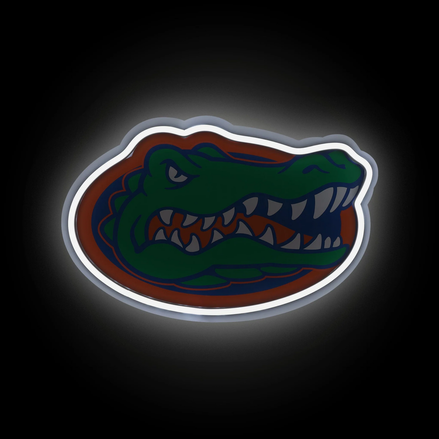 College team Florida Gators LED Neon Light Up Team sign symbol LEO NEON SIGN