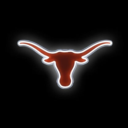 American football University NCAA lighting up sign LEO NEON SIGN