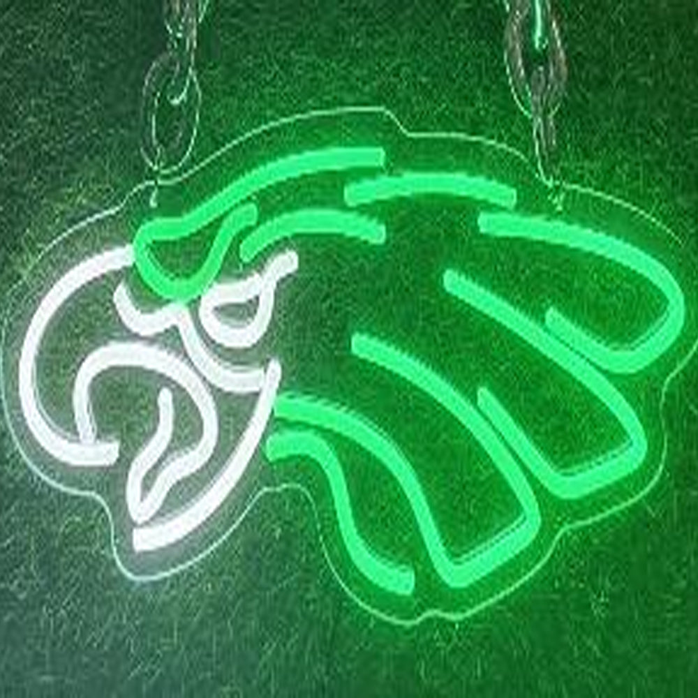 Philadelphia eagles Led big logo sign LEO NEON SIGN