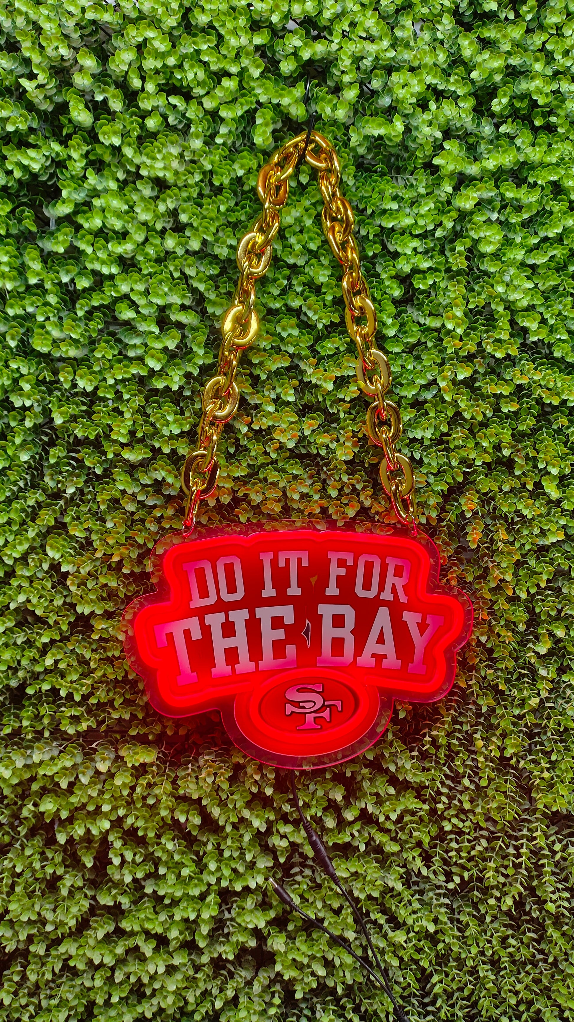 Make something different San Francisco 49ers big team logo signs LEO NEON SIGN