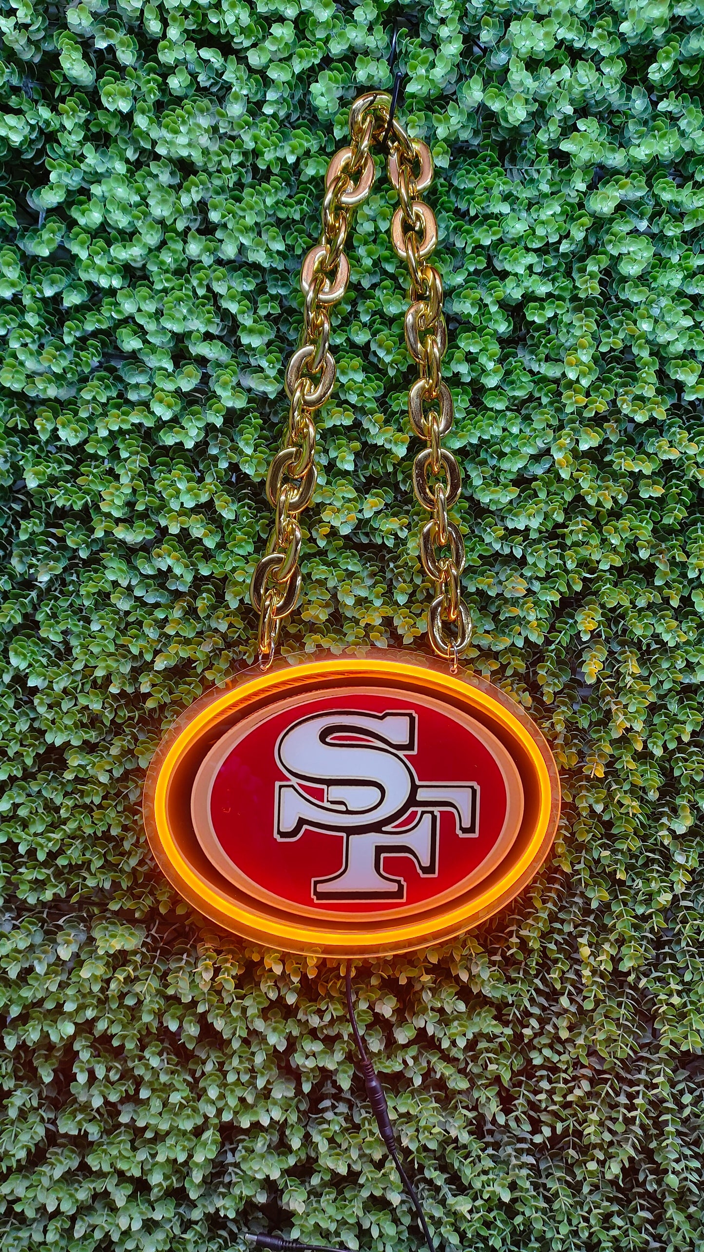Make something different San Francisco 49ers big team logo signs LEO NEON SIGN