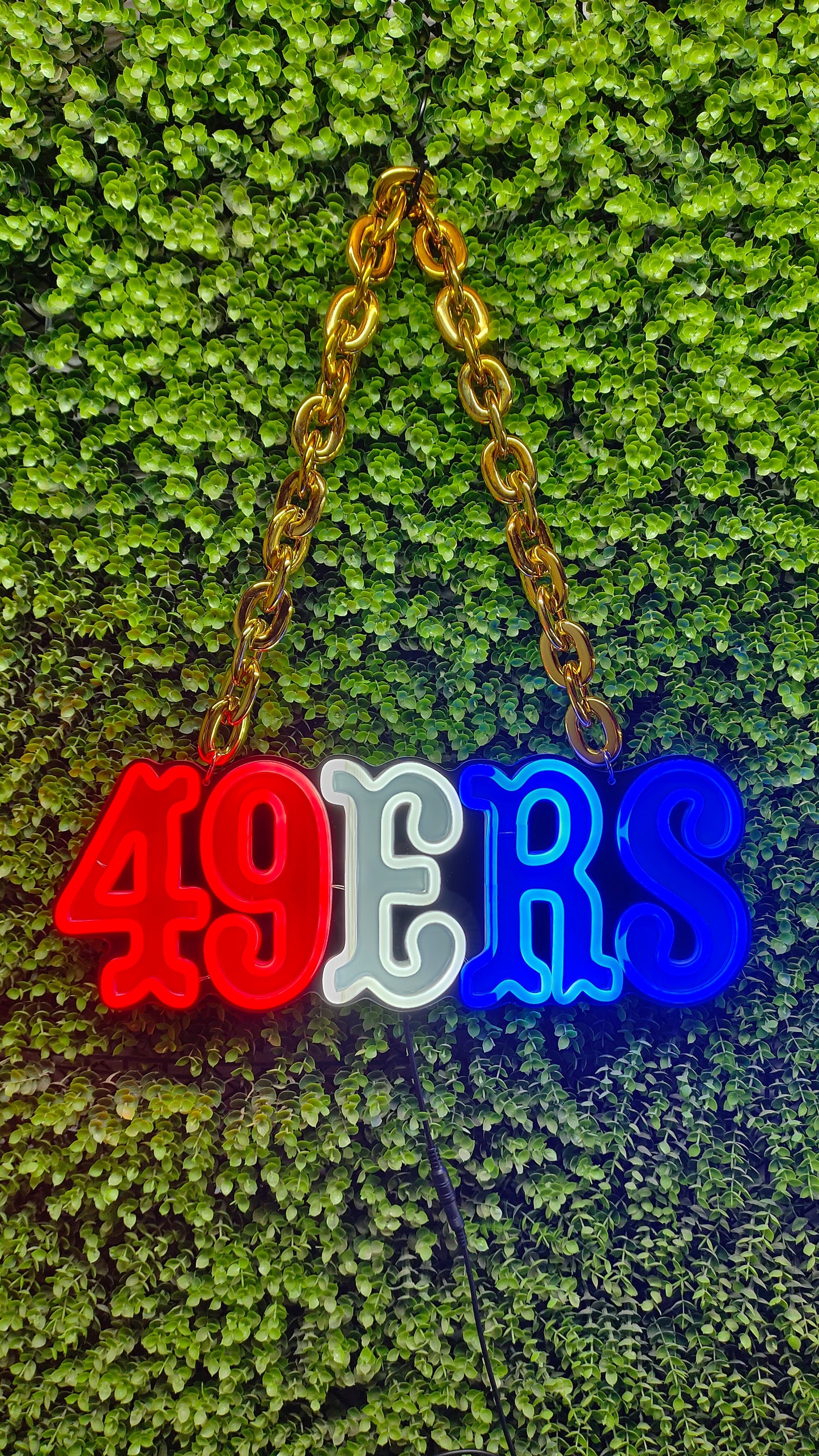 Make something different San Francisco 49ers big team logo signs LEO NEON SIGN