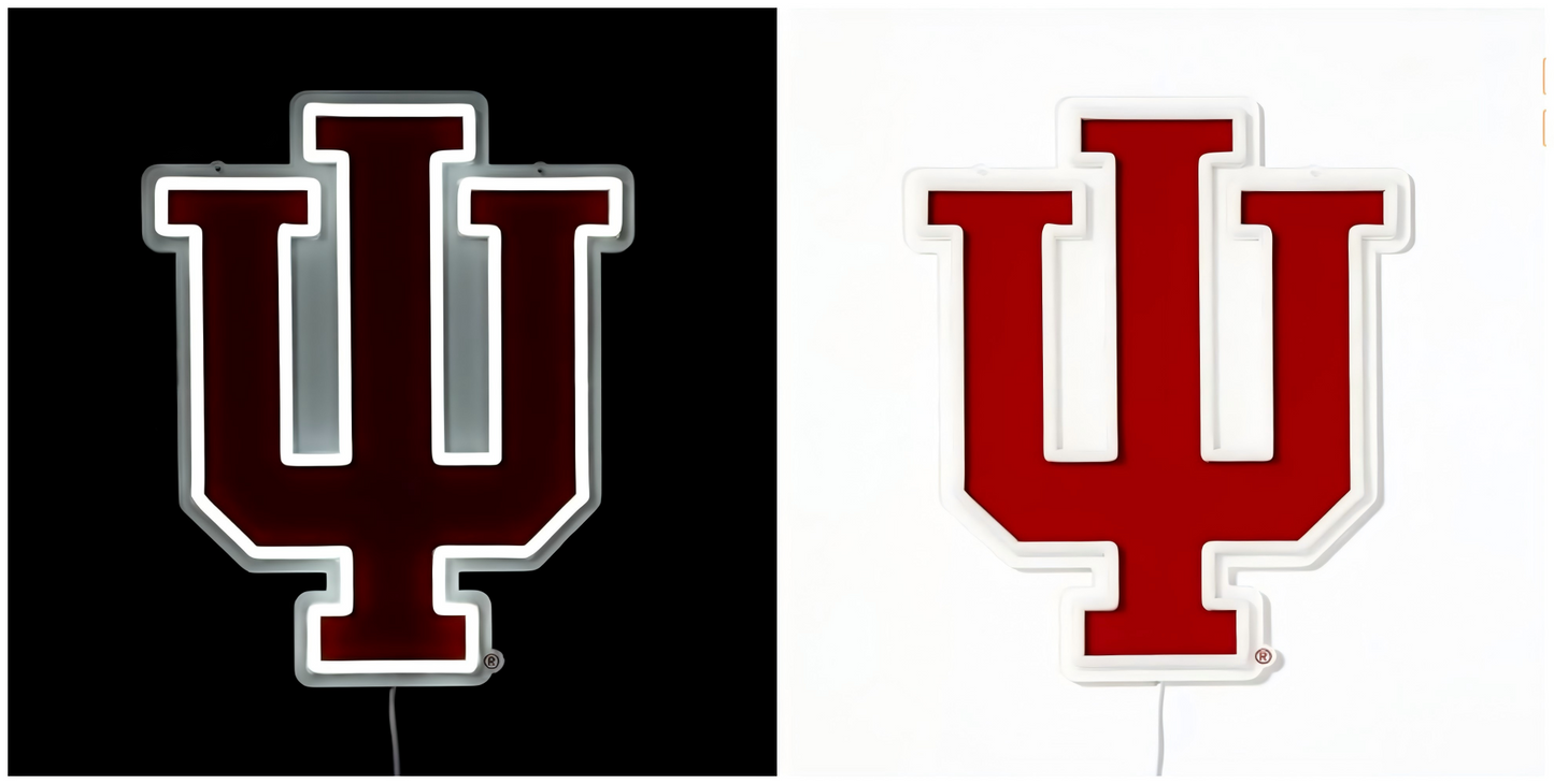 American football University NCAA lighting up sign LEO NEON SIGN