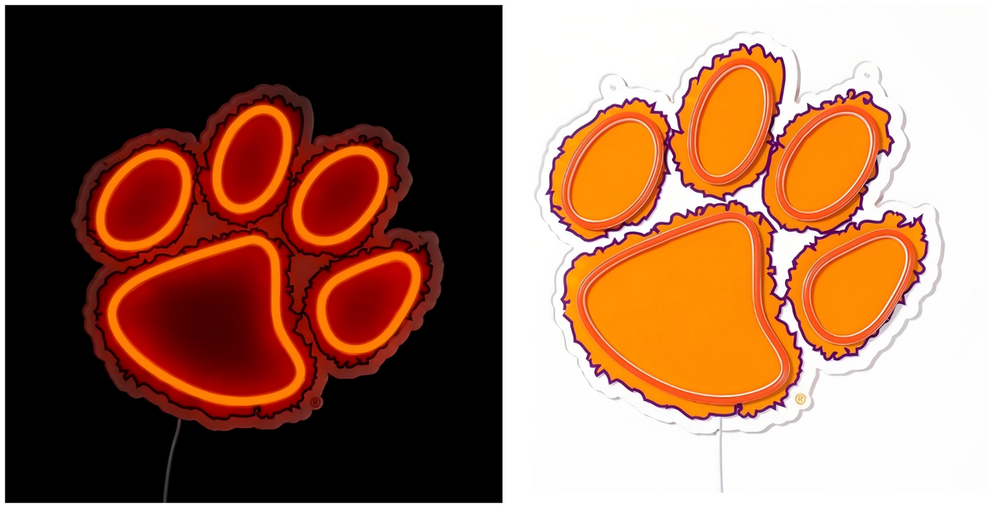 American football University NCAA lighting up sign LEO NEON SIGN