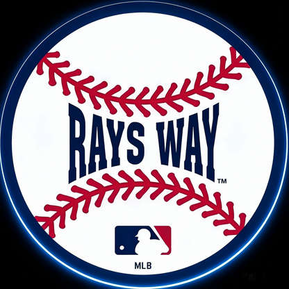 USA MLB Tampa Bay Rays led lighting up sign LEO NEON SIGN