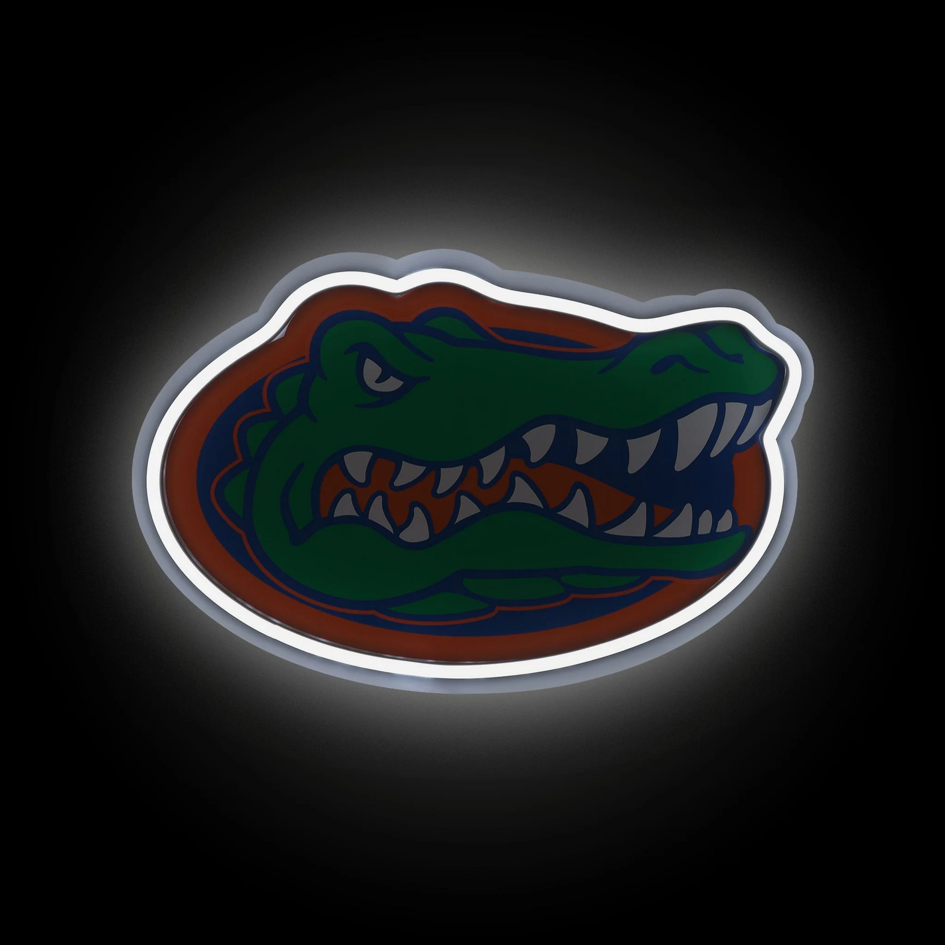 College team Florida Gators LED Neon Light Up Team sign symbol LEO NEON SIGN