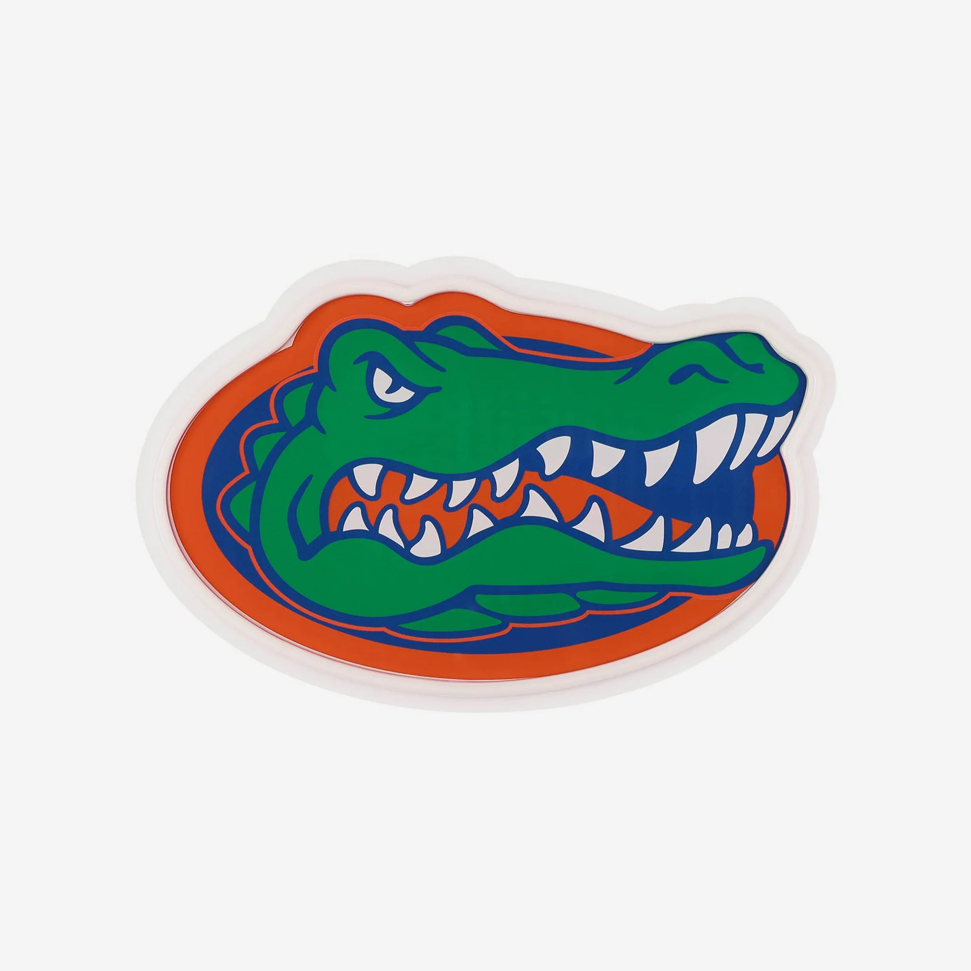 College team Florida Gators LED Neon Light Up Team sign symbol LEO NEON SIGN